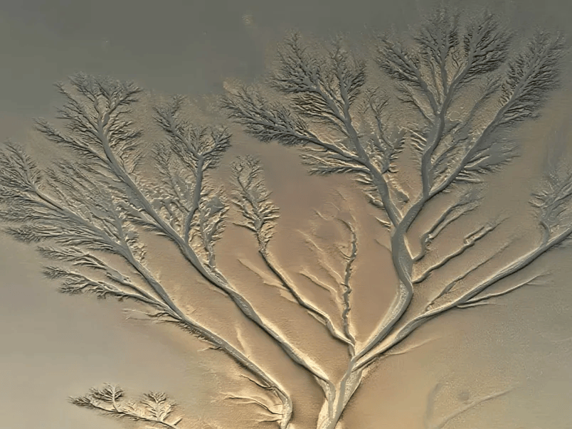 绍兴公布最新白名单